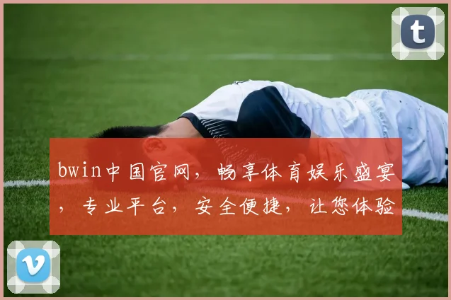 bwin中国官网，畅享体育娱乐盛宴，专业平台，安全便捷，让您体验非凡竞技之旅，尽在bwin