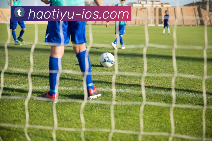 国际认证